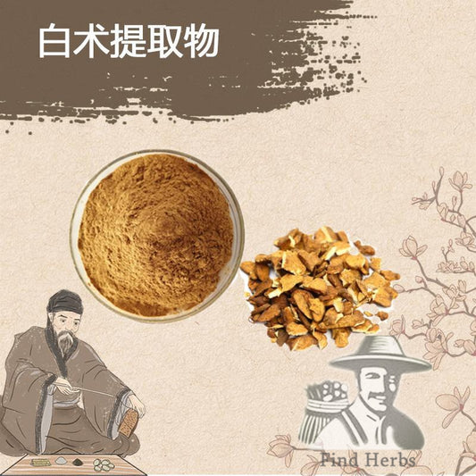 Extract Powder Chao Bai Zhu 炒白術, Baked Rhizoma Atractylodis Macrocephalae, Largehead Atractylodes Rhizome-[Chinese Herbs Online]-[chinese herbs shop near me]-[Traditional Chinese Medicine TCM]-[chinese herbalist]-Find Chinese Herb™