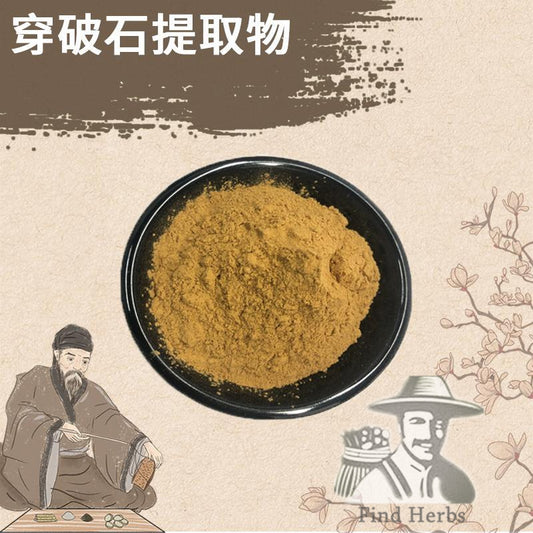 Extract Powder Chuan Po Shi 穿破石, Radix Cudraniae, Cochinchina Cudrania Root, Zhe Gen-[Chinese Herbs Online]-[chinese herbs shop near me]-[Traditional Chinese Medicine TCM]-[chinese herbalist]-Find Chinese Herb™