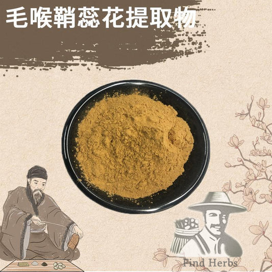 Extract Powder Coleus Forskohlii Flower, Coleus, Forskolin, Mao Hou Qiao Rui-[Chinese Herbs Online]-[chinese herbs shop near me]-[Traditional Chinese Medicine TCM]-[chinese herbalist]-Find Chinese Herb™