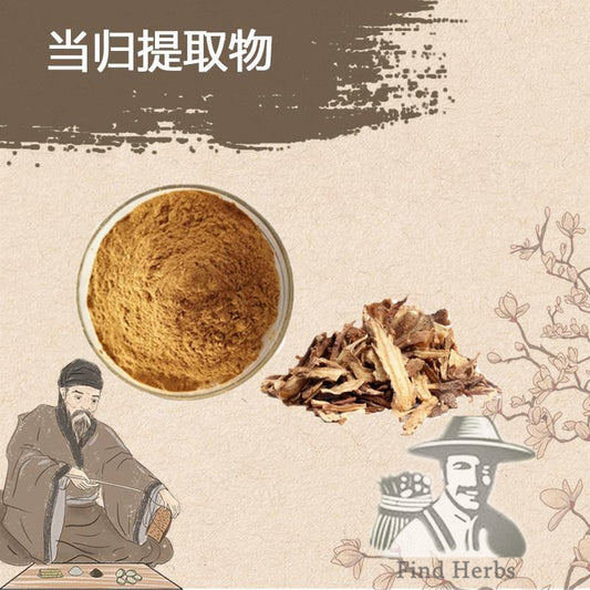 Extract Powder Dang Gui 當歸, Radix Angelicae Sinensis, Chinese Angelica, Dong Quai-[Chinese Herbs Online]-[chinese herbs shop near me]-[Traditional Chinese Medicine TCM]-[chinese herbalist]-Find Chinese Herb™