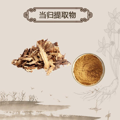 Extract Powder Dang Gui 當歸, Radix Angelicae Sinensis, Chinese Angelica, Dong Quai-[Chinese Herbs Online]-[chinese herbs shop near me]-[Traditional Chinese Medicine TCM]-[chinese herbalist]-Find Chinese Herb™
