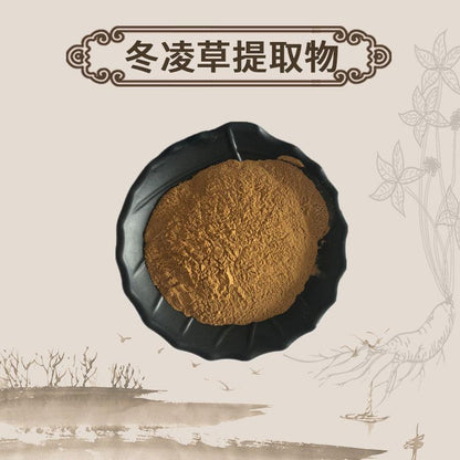 Extract Powder Dong Ling Cao 冬淩草, Herba Rabdosiae, Rabdosia Rubescens Herb-[Chinese Herbs Online]-[chinese herbs shop near me]-[Traditional Chinese Medicine TCM]-[chinese herbalist]-Find Chinese Herb™