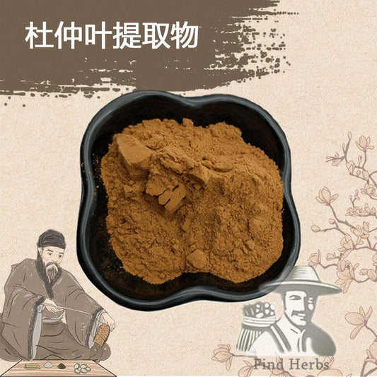Extract Powder Du Zhong Ye 杜仲葉, Folium Eucommiae Ulmoides, Gutta Leaf-[Chinese Herbs Online]-[chinese herbs shop near me]-[Traditional Chinese Medicine TCM]-[chinese herbalist]-Find Chinese Herb™