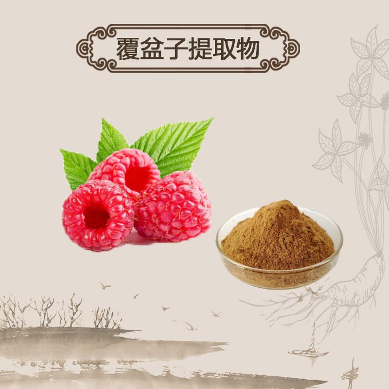 Buy Herb Tea Extract Powder Fu Pen Zi 覆盆子, Fructus Rubi, Palmleaf ...