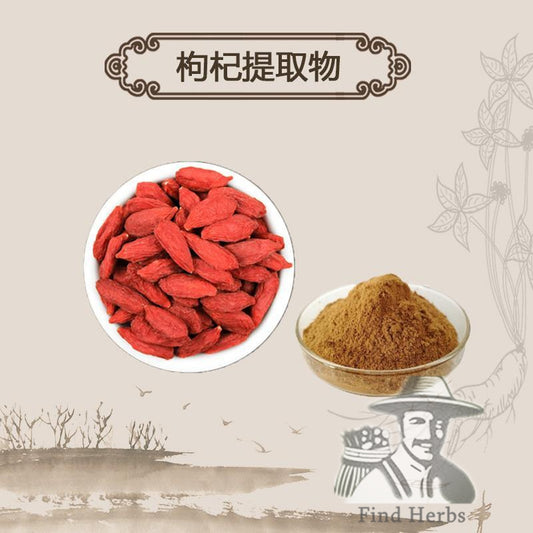 Extract Powder Gou Qi Zi 枸杞子, Fructus Lycii, Wolfberry Fruit, Goji Berry-[Chinese Herbs Online]-[chinese herbs shop near me]-[Traditional Chinese Medicine TCM]-[chinese herbalist]-Find Chinese Herb™