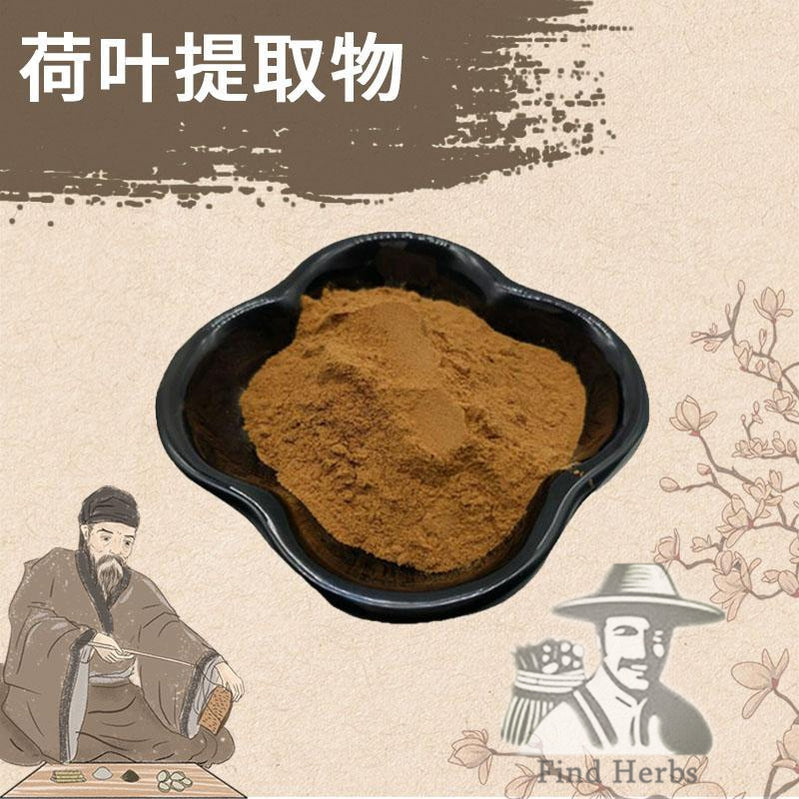 Extract Powder He Ye 荷葉, Lotus Leaf, Folium Nelumbinis-[Chinese Herbs Online]-[chinese herbs shop near me]-[Traditional Chinese Medicine TCM]-[chinese herbalist]-Find Chinese Herb™