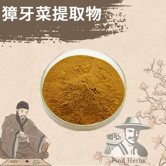 Extract Powder Herba Swertiae, False Chinese Swertia Herb, Zhang Ya Cai 獐牙菜-[Chinese Herbs Online]-[chinese herbs shop near me]-[Traditional Chinese Medicine TCM]-[chinese herbalist]-Find Chinese Herb™