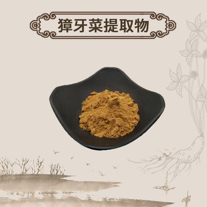 Extract Powder Herba Swertiae, False Chinese Swertia Herb, Zhang Ya Cai 獐牙菜-[Chinese Herbs Online]-[chinese herbs shop near me]-[Traditional Chinese Medicine TCM]-[chinese herbalist]-Find Chinese Herb™