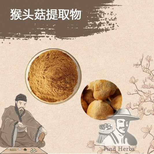 Extract Powder Hericium Erinaceus, Lion's Mane Mushroom, Yamabushitake, Hou Tou Gu 猴头菇-[Chinese Herbs Online]-[chinese herbs shop near me]-[Traditional Chinese Medicine TCM]-[chinese herbalist]-Find Chinese Herb™