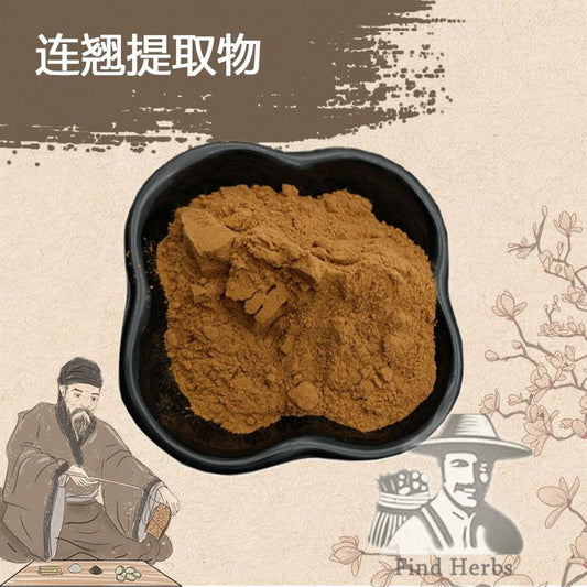 Extract Powder Lian Qiao 連翹, Lao Qiao, Fructus Forsythiae, Forsythia Suspensa-[Chinese Herbs Online]-[chinese herbs shop near me]-[Traditional Chinese Medicine TCM]-[chinese herbalist]-Find Chinese Herb™