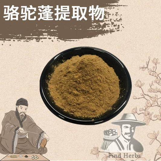 Extract Powder Luo Tuo Peng Zi 骆驼蓬子, Syrian Rue, Seed Of Common Peganum, Peganum Harmala L.-[Chinese Herbs Online]-[chinese herbs shop near me]-[Traditional Chinese Medicine TCM]-[chinese herbalist]-Find Chinese Herb™