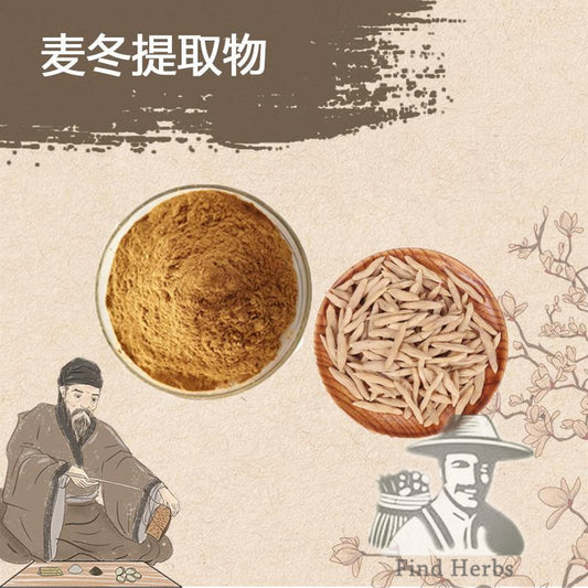 Extract Powder Mai Dong 麥冬, Radix Ophiopogonis, Dwarf Lilyturf Tuber, Mai Men Dong-[Chinese Herbs Online]-[chinese herbs shop near me]-[Traditional Chinese Medicine TCM]-[chinese herbalist]-Find Chinese Herb™
