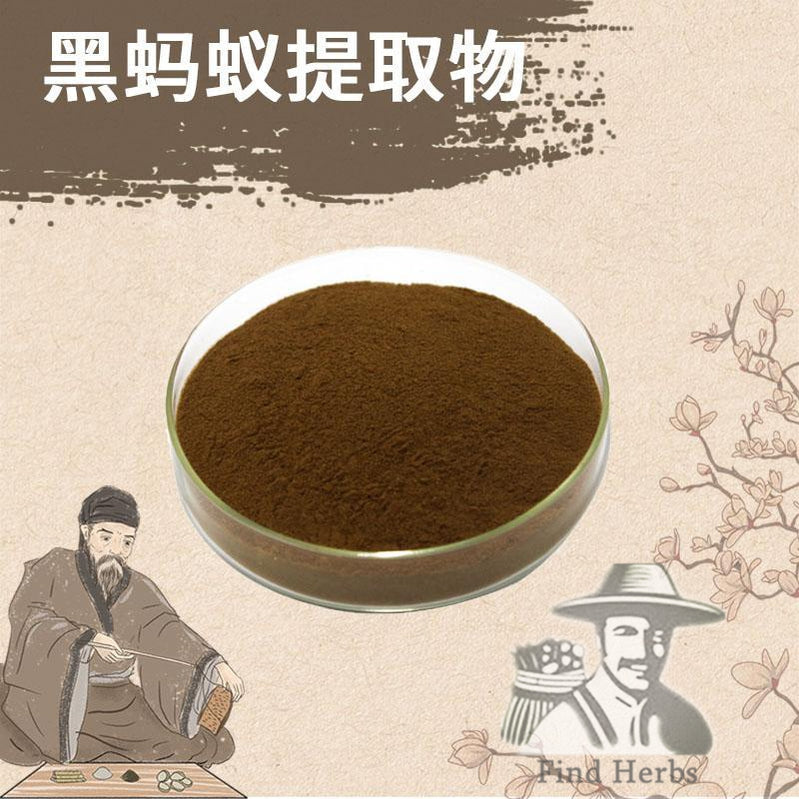 Extract Powder Polyrachis Ants, Black Ant, Hei Ma Yi-[Chinese Herbs Online]-[chinese herbs shop near me]-[Traditional Chinese Medicine TCM]-[chinese herbalist]-Find Chinese Herb™