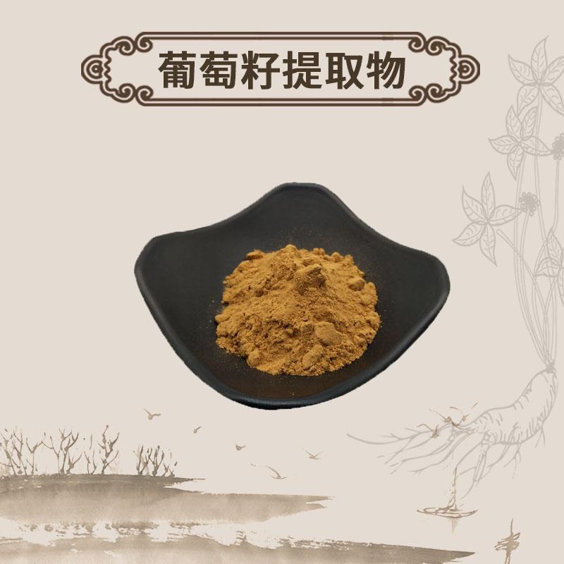 Extract Powder Pu Tao Zi 葡萄籽, Grape Seed, Vitis Vinifera-[Chinese Herbs Online]-[chinese herbs shop near me]-[Traditional Chinese Medicine TCM]-[chinese herbalist]-Find Chinese Herb™