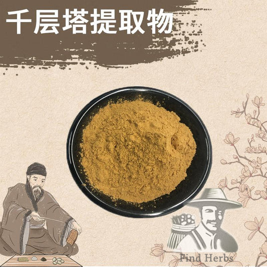 Extract Powder Qian Ceng Ta 千层塔, Herba Huperzia Serrata, Jin Bu Huan-[Chinese Herbs Online]-[chinese herbs shop near me]-[Traditional Chinese Medicine TCM]-[chinese herbalist]-Find Chinese Herb™