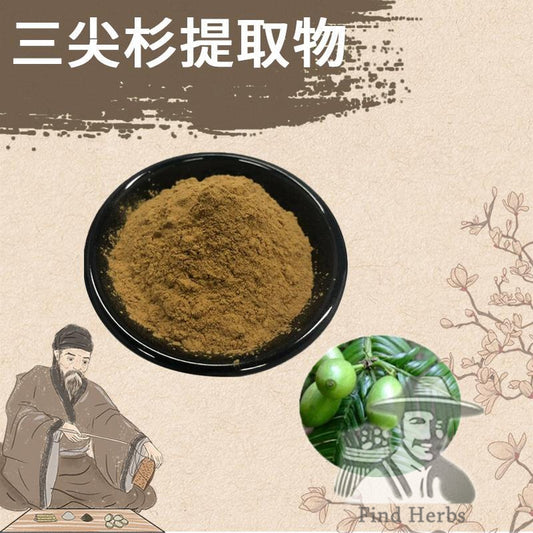 Extract Powder San Jian Shan 三尖杉, Cephalotaxus Fortunei Leaf-[Chinese Herbs Online]-[chinese herbs shop near me]-[Traditional Chinese Medicine TCM]-[chinese herbalist]-Find Chinese Herb™