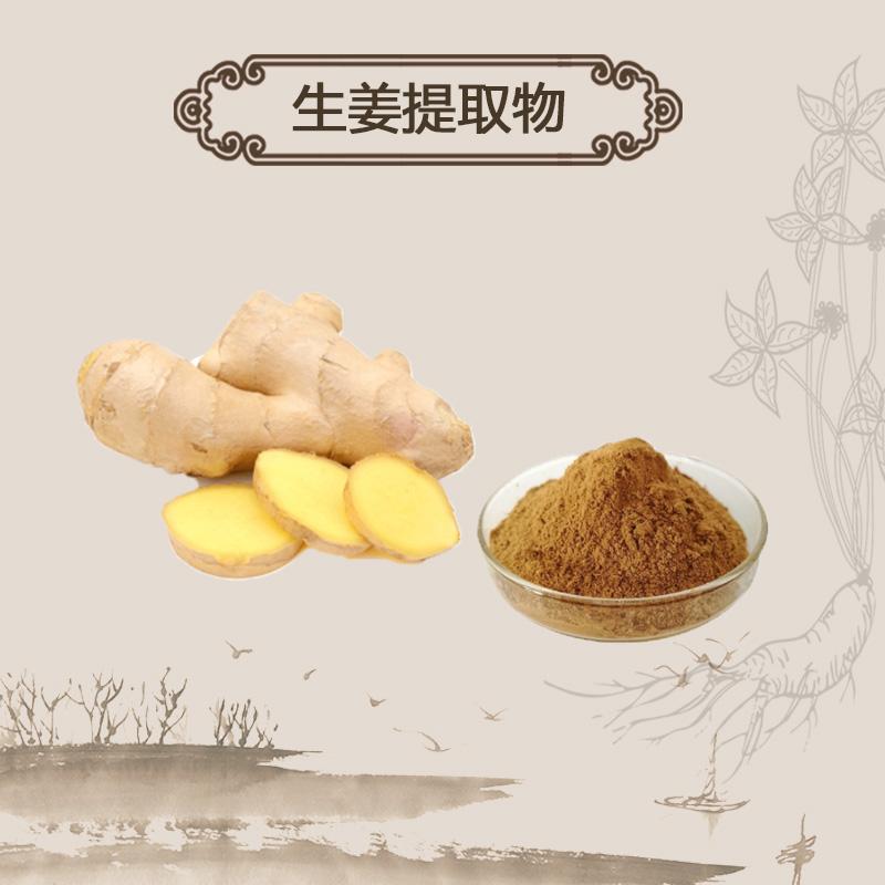 Extract Powder Sheng Jiang 生姜, Ginger, Zingiber Officinale-[Chinese Herbs Online]-[chinese herbs shop near me]-[Traditional Chinese Medicine TCM]-[chinese herbalist]-Find Chinese Herb™