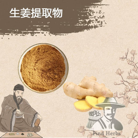 Extract Powder Sheng Jiang 生姜, Ginger, Zingiber Officinale-[Chinese Herbs Online]-[chinese herbs shop near me]-[Traditional Chinese Medicine TCM]-[chinese herbalist]-Find Chinese Herb™