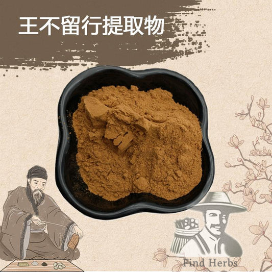 Extract Powder Wang Bu Liu Xing 王不留行, Cowherb Seed, Semen Vaccariae-[Chinese Herbs Online]-[chinese herbs shop near me]-[Traditional Chinese Medicine TCM]-[chinese herbalist]-Find Chinese Herb™