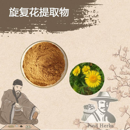Extract Powder Xuan Fu Hua 旋覆花, Flos Inula Japonica, Inula Flower-[Chinese Herbs Online]-[chinese herbs shop near me]-[Traditional Chinese Medicine TCM]-[chinese herbalist]-Find Chinese Herb™