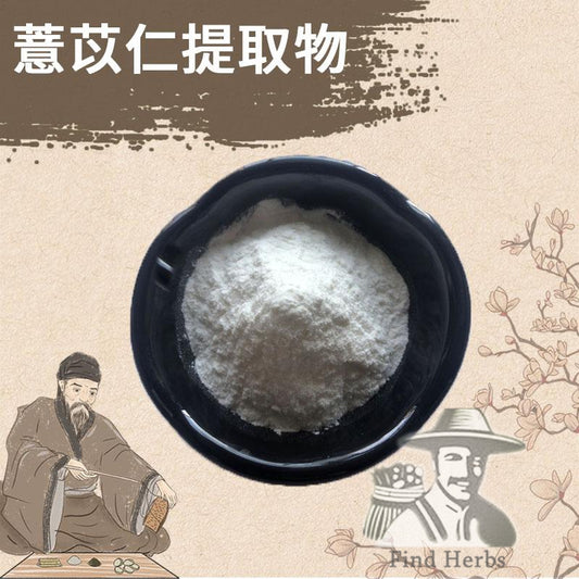 Extract Powder Yi Yi Ren 薏苡仁, Yi Ren, Yi Mi, Coix Seed, Semen Coicis-[Chinese Herbs Online]-[chinese herbs shop near me]-[Traditional Chinese Medicine TCM]-[chinese herbalist]-Find Chinese Herb™