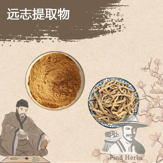 Extract Powder Yuan Zhi 远志, Radix Polygalae, Polygala Root-[Chinese Herbs Online]-[chinese herbs shop near me]-[Traditional Chinese Medicine TCM]-[chinese herbalist]-Find Chinese Herb™