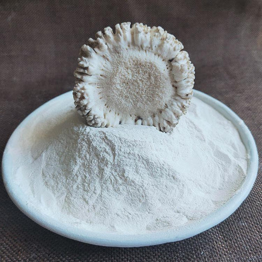 Lu Jiao Mao Fen 鹿角帽粉, Pure Cartialgenous Powder, Sika Deer Antler, Cornu Cervi Pantotrichum-[Chinese Herbs Online]-[chinese herbs shop near me]-[Traditional Chinese Medicine TCM]-[chinese herbalist]-Find Chinese Herb™