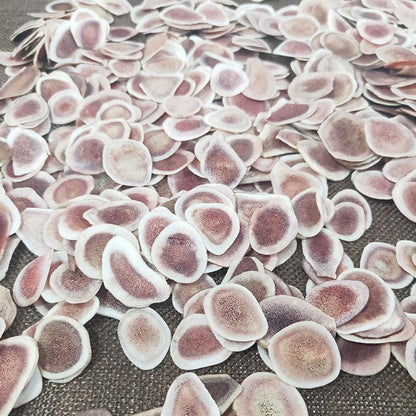 Lu Rong Gu Zhi Pian 鹿茸, Cartialgenous, Sika Deer Antler Slice, Cornu Cervi Pantotrichum-[Chinese Herbs Online]-[chinese herbs shop near me]-[Traditional Chinese Medicine TCM]-[chinese herbalist]-Find Chinese Herb™