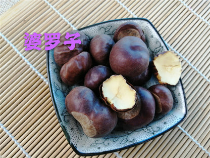 Pure Powder Suo Luo Zi 娑罗子, Chinese Buckeye Seed, Semen Aesculi, Su Luo Zi, Kai Xin Guo