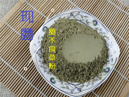 Pure Powder E Bu Shi Cao 鵝不食草, Small Centipeda Herb, Herba Centipedae