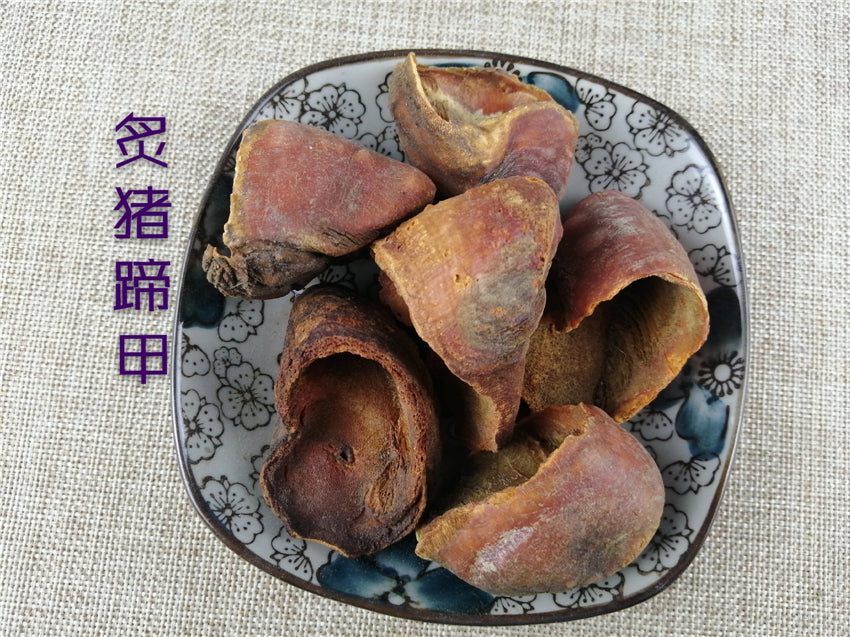 Pure Powder Zhi Zhu Ti Jia 炙猪蹄甲, Pig's Trotters
