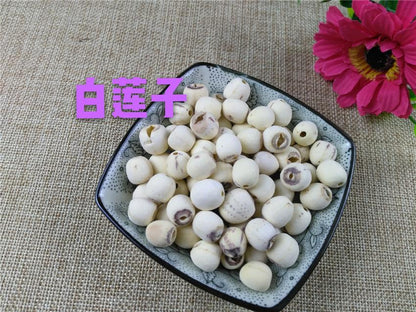 Pure Powder Bai Lian Zi 白蓮子, Semen Nelumbinis, Lotus Seed-[Chinese Herbs Online]-[chinese herbs shop near me]-[Traditional Chinese Medicine TCM]-[chinese herbalist]-Find Chinese Herb™