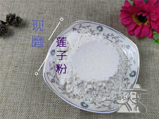 Pure Powder Bai Lian Zi 白蓮子, Semen Nelumbinis, Lotus Seed-[Chinese Herbs Online]-[chinese herbs shop near me]-[Traditional Chinese Medicine TCM]-[chinese herbalist]-Find Chinese Herb™