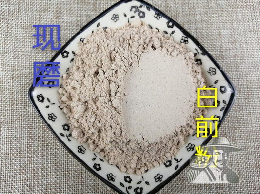 Pure Powder Bai Qian 白前, Radix Cynanchi Stauntonii, Cynanchum Glaucescens Rhizome-[Chinese Herbs Online]-[chinese herbs shop near me]-[Traditional Chinese Medicine TCM]-[chinese herbalist]-Find Chinese Herb™