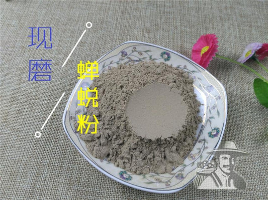 Pure Powder Chan Dui 蝉蜕, Cicada Molting (Slough), Periostracum Cicadae, Cryptotympana-[Chinese Herbs Online]-[chinese herbs shop near me]-[Traditional Chinese Medicine TCM]-[chinese herbalist]-Find Chinese Herb™