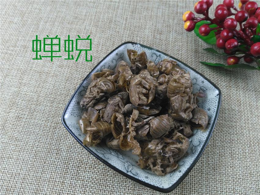 Pure Powder Chan Dui 蝉蜕, Cicada Molting (Slough), Periostracum Cicadae, Cryptotympana-[Chinese Herbs Online]-[chinese herbs shop near me]-[Traditional Chinese Medicine TCM]-[chinese herbalist]-Find Chinese Herb™