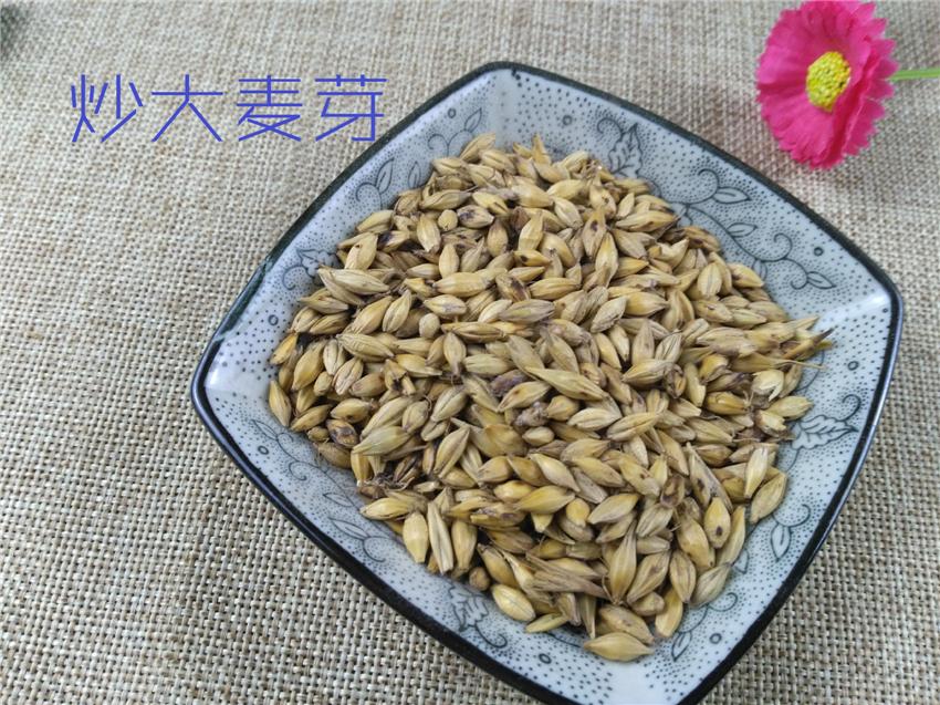 Pure Powder Chao Da Mai Ya 炒大麥芽, Fructus Hordei Germinatus, Stir-baked Malt-[Chinese Herbs Online]-[chinese herbs shop near me]-[Traditional Chinese Medicine TCM]-[chinese herbalist]-Find Chinese Herb™