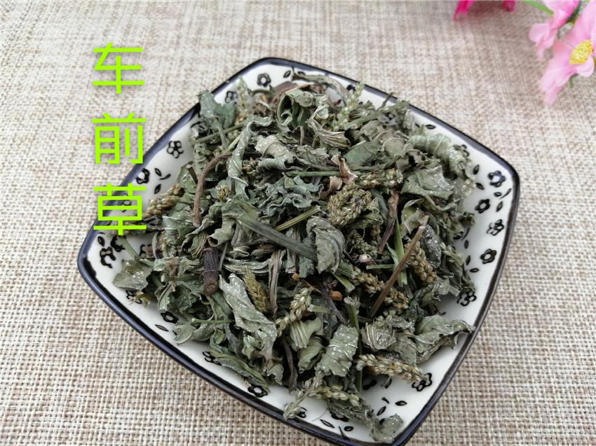 Pure Powder Che Qian Cao 车前草, Plantain Herb, Herba Plantaginis-[Chinese Herbs Online]-[chinese herbs shop near me]-[Traditional Chinese Medicine TCM]-[chinese herbalist]-Find Chinese Herb™