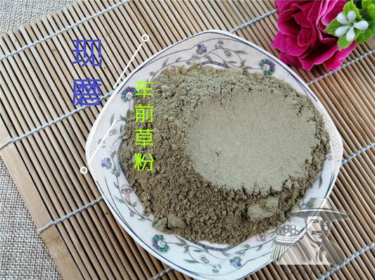 Pure Powder Che Qian Cao 车前草, Plantain Herb, Herba Plantaginis-[Chinese Herbs Online]-[chinese herbs shop near me]-[Traditional Chinese Medicine TCM]-[chinese herbalist]-Find Chinese Herb™