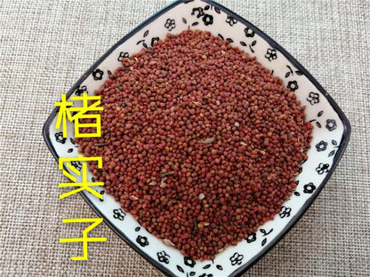 Pure Powder Chu Shi Zi 楮實子, Paper Mulberry, Fructus Broussonetiae, Papermulberry Fruit-[Chinese Herbs Online]-[chinese herbs shop near me]-[Traditional Chinese Medicine TCM]-[chinese herbalist]-Find Chinese Herb™