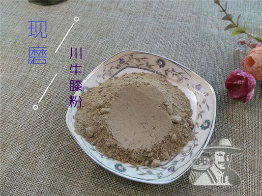 Pure Powder Chuan Niu Xi 川牛膝, Radix Cyathulae, Cyathula Officinalis Kuan Root-[Chinese Herbs Online]-[chinese herbs shop near me]-[Traditional Chinese Medicine TCM]-[chinese herbalist]-Find Chinese Herb™