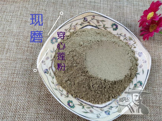 Pure Powder Chuan Xin Lian 穿心蓮, Herba Andrographis, Common Andrographis Herb, Ku Dan Cao-[Chinese Herbs Online]-[chinese herbs shop near me]-[Traditional Chinese Medicine TCM]-[chinese herbalist]-Find Chinese Herb™