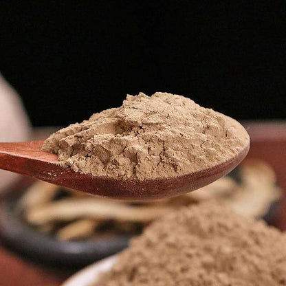 Pure Powder Dang Gui Fen 當歸粉, Pure Radix Angelicae Sinensis Powder, Chinese Angelica Root, Dong Quai-[Chinese Herbs Online]-[chinese herbs shop near me]-[Traditional Chinese Medicine TCM]-[chinese herbalist]-Find Chinese Herb™