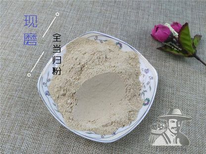 Pure Powder Dang Gui Ge 當歸个, Radix Angelicae Sinensis, Chinese Angelica, Dong Quai-[Chinese Herbs Online]-[chinese herbs shop near me]-[Traditional Chinese Medicine TCM]-[chinese herbalist]-Find Chinese Herb™