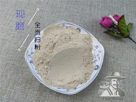 Pure Powder Dang Gui Ge 當歸个, Radix Angelicae Sinensis, Chinese Angelica, Dong Quai-[Chinese Herbs Online]-[chinese herbs shop near me]-[Traditional Chinese Medicine TCM]-[chinese herbalist]-Find Chinese Herb™