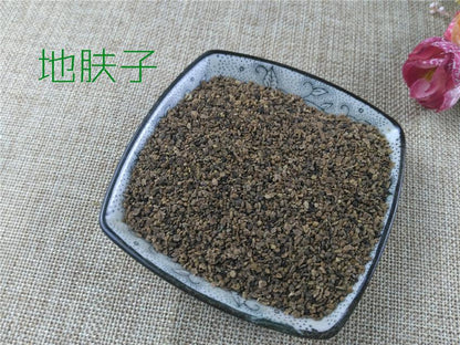 Pure Powder Di Fu Zi 地膚子, Fructus Kochiae, Belvedere Fruit-[Chinese Herbs Online]-[chinese herbs shop near me]-[Traditional Chinese Medicine TCM]-[chinese herbalist]-Find Chinese Herb™