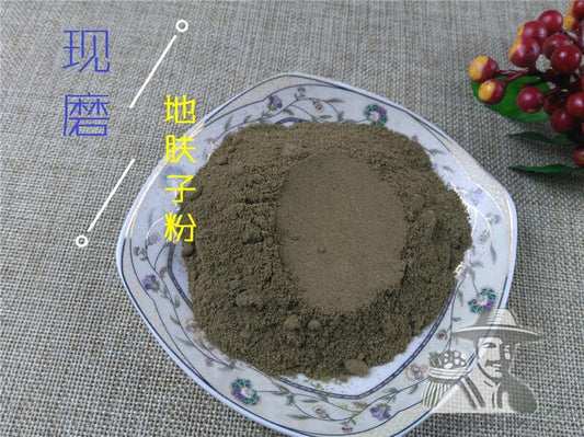Pure Powder Di Fu Zi 地膚子, Fructus Kochiae, Belvedere Fruit-[Chinese Herbs Online]-[chinese herbs shop near me]-[Traditional Chinese Medicine TCM]-[chinese herbalist]-Find Chinese Herb™
