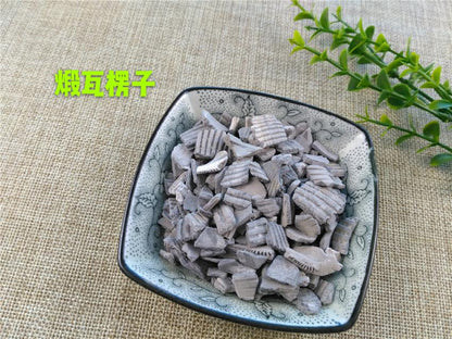 Pure Powder Duan Wa Leng Zi 煅瓦楞子, CONCHA ARCAE, Ark Shell-[Chinese Herbs Online]-[chinese herbs shop near me]-[Traditional Chinese Medicine TCM]-[chinese herbalist]-Find Chinese Herb™
