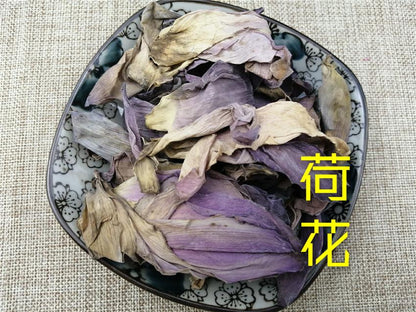 Pure Powder He Hua 荷花, Lotus Flower, Nelumbo Nucifera-[Chinese Herbs Online]-[chinese herbs shop near me]-[Traditional Chinese Medicine TCM]-[chinese herbalist]-Find Chinese Herb™