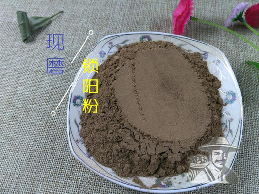 Pure Powder Jin Suo Yang 金鎖陽, Herba Cynomorii, Songaria Cynomorium Herb-[Chinese Herbs Online]-[chinese herbs shop near me]-[Traditional Chinese Medicine TCM]-[chinese herbalist]-Find Chinese Herb™